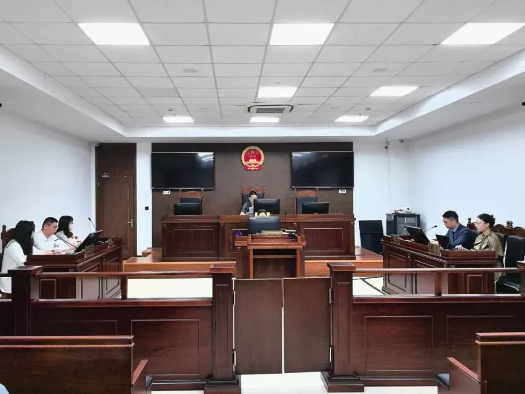 “柱子票”案一审判决。图源:上海闵行法院
