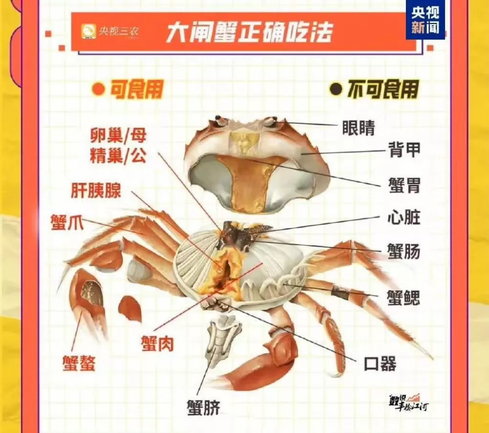 广东小伙连吃七只螃蟹,把自己“炫”进ICU