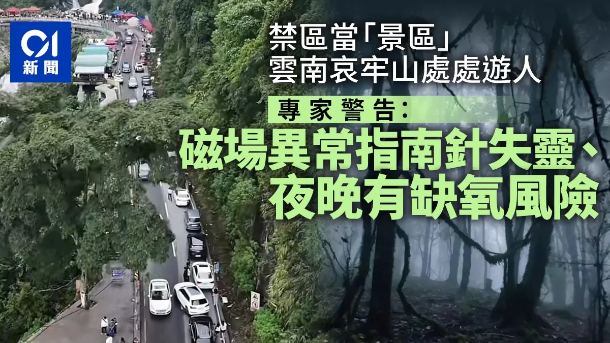 哀牢山为何突然爆红?专家:磁场异常 夜晚缺氧…