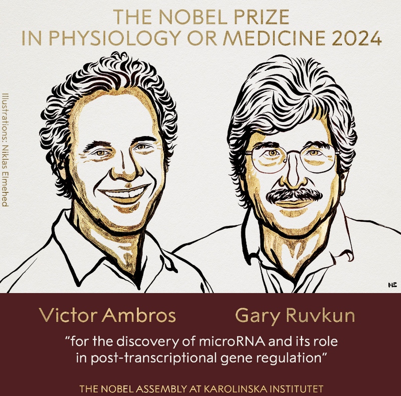 美国发育生物学家安布罗斯(Victor Ambros)及美国分子生物学家鲁夫昆(Gary Ruvkun)因发现microRNA对基因关键作用获得诺贝尔生医奖。(图翻摄自Nobel Prize_X平台) 美国发育生物学家安布罗斯(Victor Ambros)及美国分子生物学家鲁夫昆(Gary Ruvkun)因发现microRNA对基因关键作用获得诺贝尔生医奖。(图翻摄自Nobel Prize_X平台)