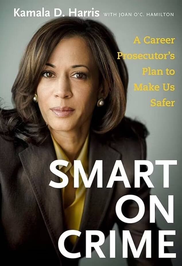 贺锦丽2009年著作《聪明的犯罪政策》(Smart on Crime)的封面。(取自X平台) 贺锦丽2009年著作《聪明的犯罪政策》(Smart on Crime)的封面。(取自X平台)