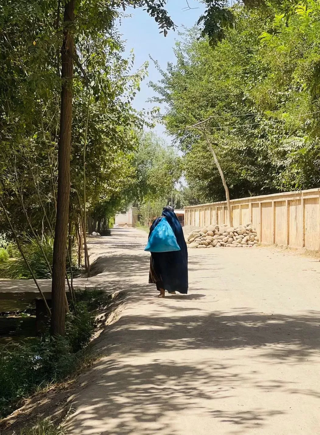 不断被限制的自由:一个阿富汗女人的来信