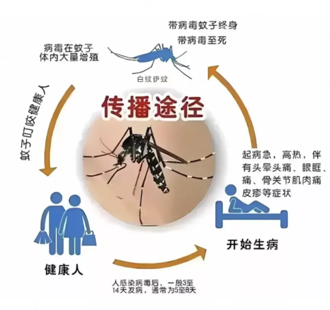 传播途径/图源:中国疾控中心微信公众号