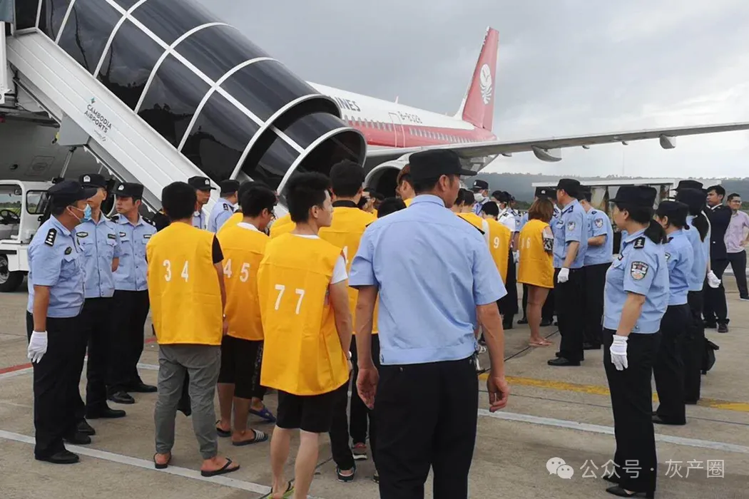 一天损失900多万！中国著名法学教授被精准收割