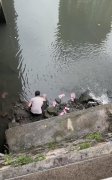 深圳河道惊现大量成捆的钞票　警方介入调查