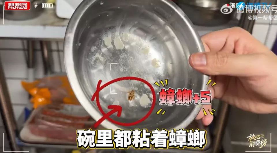 知名餐饮品牌被曝后厨蟑螂横行!成本5元汉堡卖15元