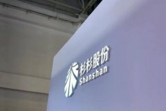 660亿上市公司宫斗：儿子成老赖 后妈面临破产…