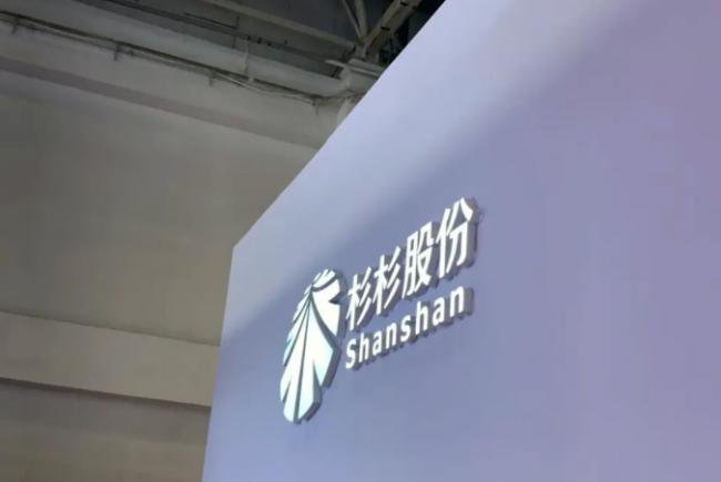 660亿上市公司宫斗：儿子成老赖 后妈面临破产…