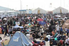 空军高层遭团灭 伊朗拿“这国移民”解气