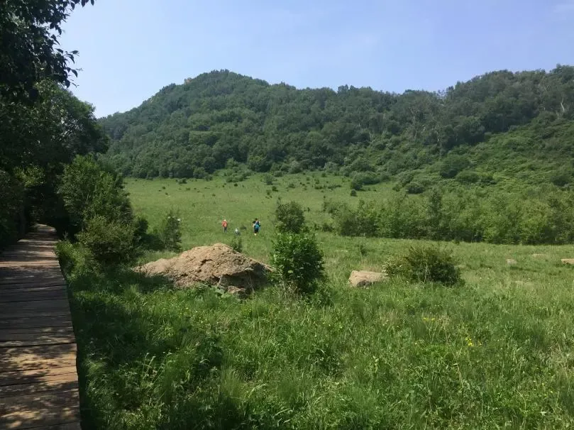 百花山草甸（图片来源：作者）