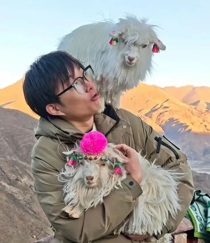 ◎ 还是小奇,摸羊的小奇