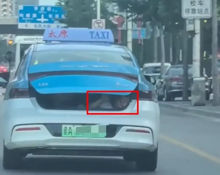 出租车后备箱载儿童行驶 司机带孩子体验生活