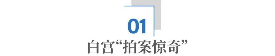 驴象之争闯进一匹马 马斯克,为什么非要从政?