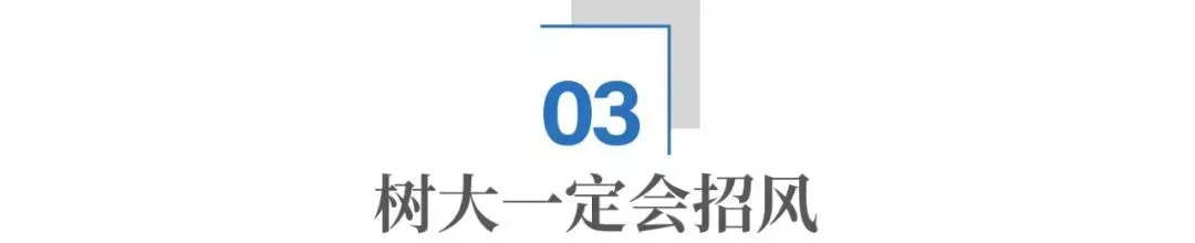 马斯克,为什么非要从政?