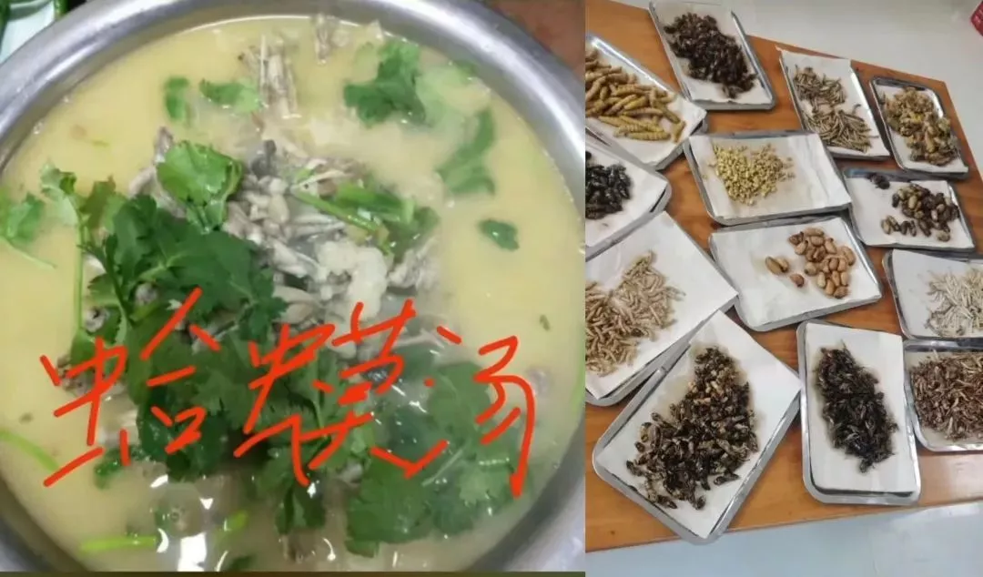 随手拍菜品视频被认定“违法广告”罚45万