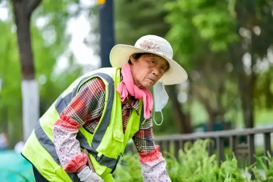 50岁之后，我开始为“第二职场”奔波