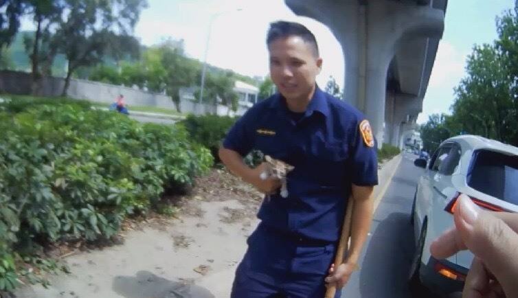 警方花20多分钟救猫安置。(民众提供) 警方花20多分钟救猫安置。(民众提供)