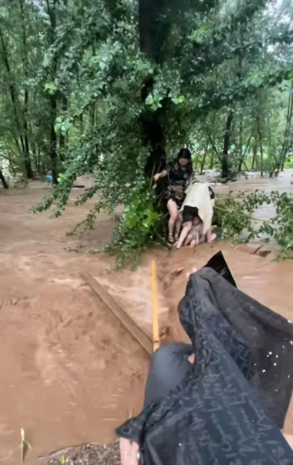 河北暴雨 亲历者：水淹过颈部 6人抱一棵树5小时