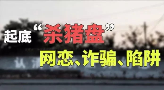 美华人科学家身陷“美女杀猪盘” 被掏光$250万积蓄！