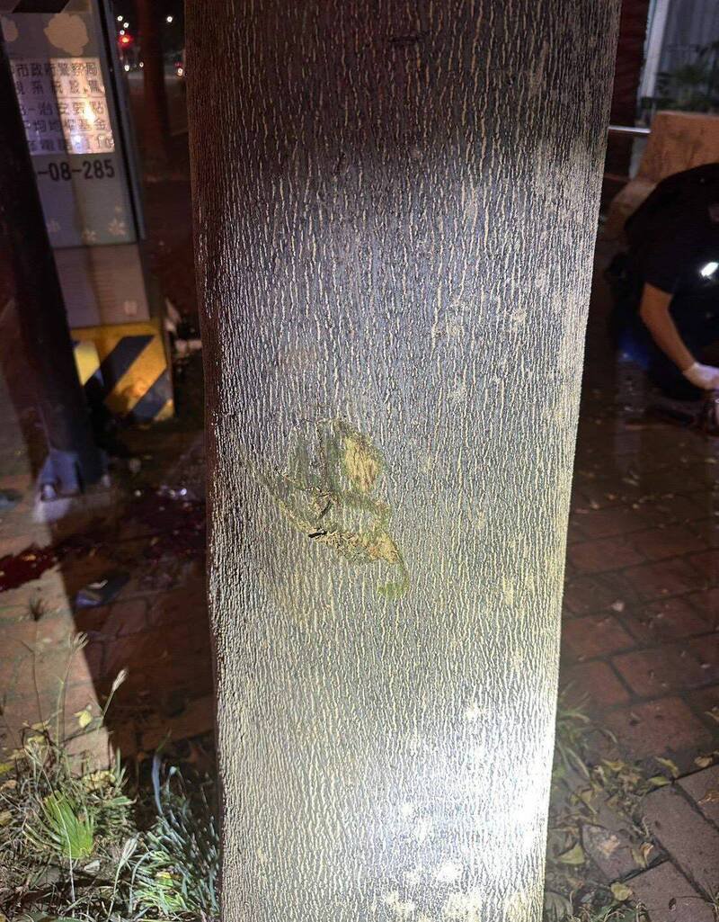 台中陈姓女子,昨晚酒后骑车行经大里国光路、中兴路口自撞路树,树干上留下撞击痕迹。(记者陈建志翻摄) 台中陈姓女子,昨晚酒后骑车行经大里国光路、中兴路口自撞路树,树干上留下撞击痕迹。(记者陈建志翻摄)
