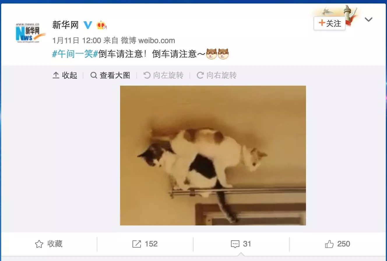 劳东燕:近年来,有股力量拖拽着所有人向下坠落