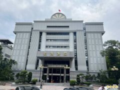 殴打摇晃施虐9月小女儿致脑伤 狠心夫妻判入狱定谳