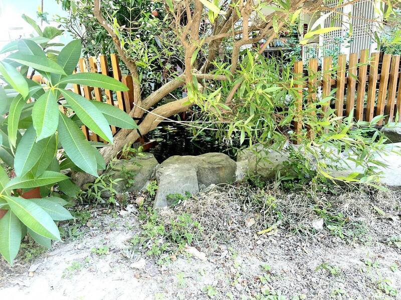 竹北市私立托婴中心发生1岁9个月女童溺毙生态池憾事。(民众提供) 竹北市私立托婴中心发生1岁9个月女童溺毙生态池憾事。(民众提供)