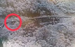 离奇！75岁台中翁疑赴灾区失联10天 徒步走进旧苏花后人间蒸发