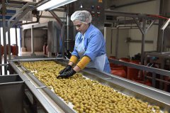 希腊修改劳动法 允许劳工每天上工13小时