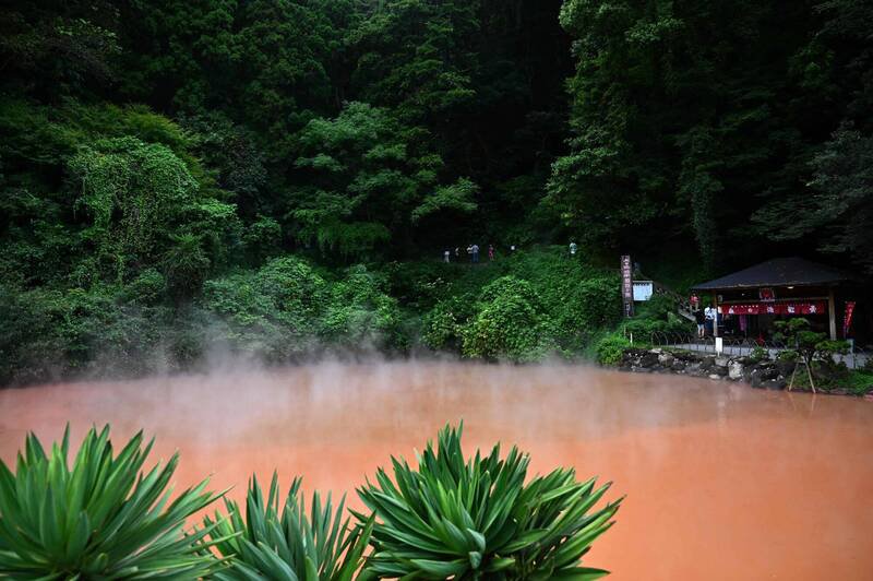 日本岩手县一位温泉旅馆员工离奇失踪，现场遗留多处血迹，警方推测可能是被熊带走；示意图，图与新闻事件无关。（法新社资料照）