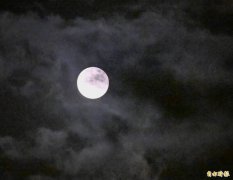 日北海道7.8℃低温惊见裸男躺地 辩称「只是想赏月」