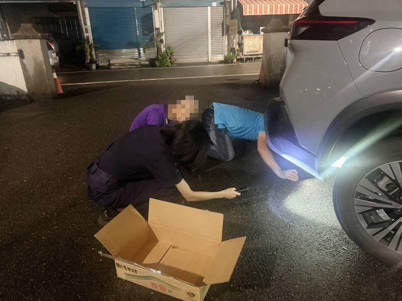 警方帮助民众从车底救出穿山甲。(警方提供) 警方帮助民众从车底救出穿山甲。(警方提供)