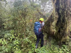 宜兰阿玉山传2山友失联 警消赶「风神」来袭上山搜索
