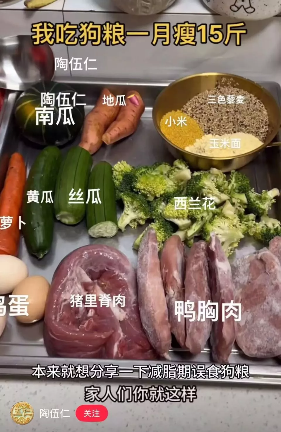 中产最新的减肥方式你绝对想不到——吃猫饭