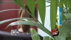 年轻小夫妻睡梦中惊醒！陌生男子正拿灯照他们！