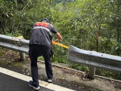 秋末虎头蜂性情最凶暴   新北坪林7登山客遭蜂群袭击