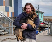 阿拉斯加水灾撤离禁带宠物 动保团体包机救援百只遗弃犬
