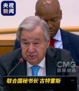 联合国面临破产危机  要裁员