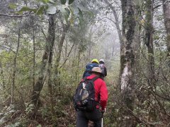 搜寻宜兰阿玉山失联山友 浓雾大雨增加搜救困难度