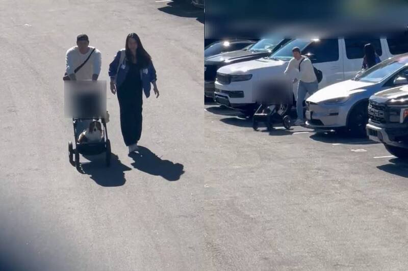 网上目前疯传一段疑似私生饭偷拍大谷翔平陪同妻女、爱犬低调进入球场的画面。(图撷取自@MrHeismanberg社群平台「X」,本报合成) 网上目前疯传一段疑似私生饭偷拍大谷翔平陪同妻女、爱犬低调进入球场的画面。(图撷取自@MrHeismanberg社群平台「X」,本报合成)