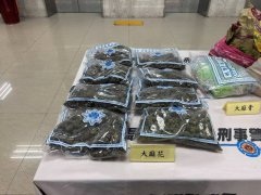 世界最新毒品趋势》大麻为主要祸源 新兴毒品使毒品问题益加复杂