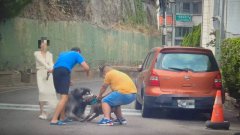 女模爱犬突遭比特犬攻击 热心路人协助脱困