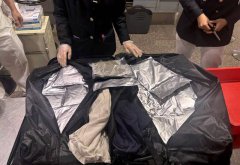 听信爱情诈骗话术 台女携大麻入境桃机遭查获