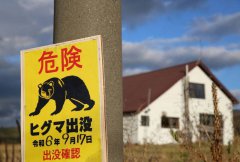 熊闯民宅与狗对峙！ 日男手拿「千斤顶」猛砸吓跑牠
