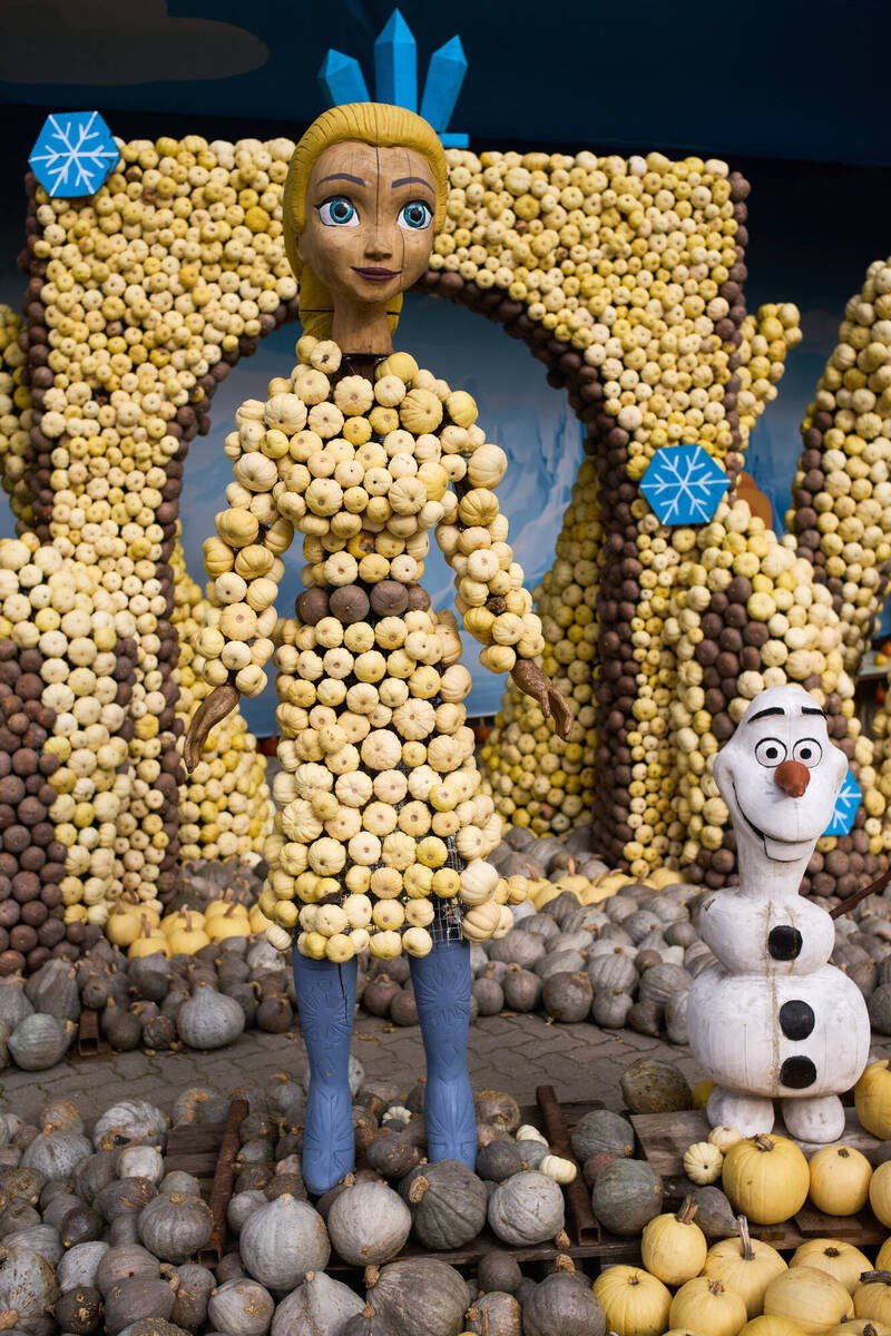 迪士尼电影《冰雪奇缘》中的艾莎公主(Elsa)与雪宝(Olaf),也成为德国南瓜节的雕塑主角,其礼服由数百颗淡黄色南瓜串接而成。(美联社) 迪士尼电影《冰雪奇缘》中的艾莎公主(Elsa)与雪宝(Olaf),也成为德国南瓜节的雕塑主角,其礼服由数百颗淡黄色南瓜串接而成。(美联社)