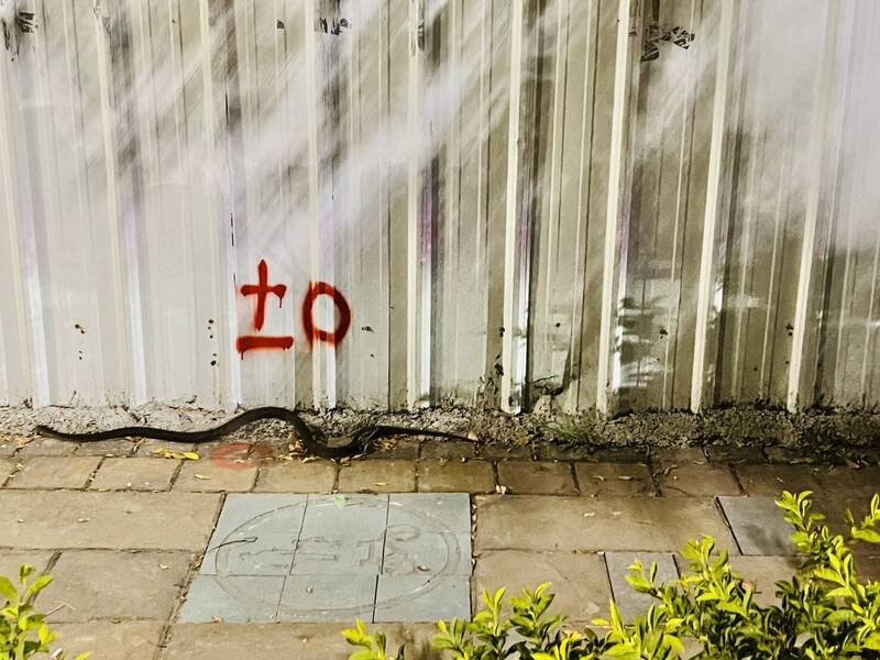 郑老师夜跑差点踩到蛇。(郑老师提供) 郑老师夜跑差点踩到蛇。(郑老师提供)