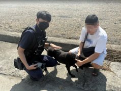 暖心守护! 潭子警协助民众寻回火场受困爱犬
