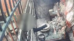 「囝仔公」头上动土！拿贡香连偷5金牌 得手140万仍栽了