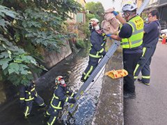 遗憾！刚出生婴儿遭弃水沟 无生命迹象