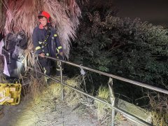 台中19岁女大生自撞喷飞坠6米边坡 全身擦挫伤送医